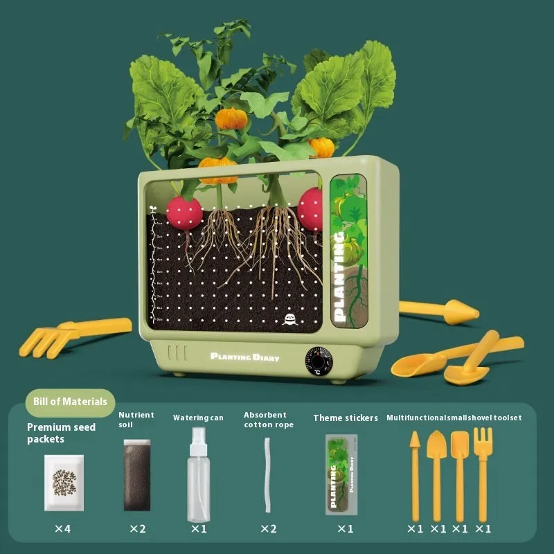 Kindergarten Planting Observation Box Root Clear View Window Children Plant Flower Student Scientific Experiment Gift Toys
