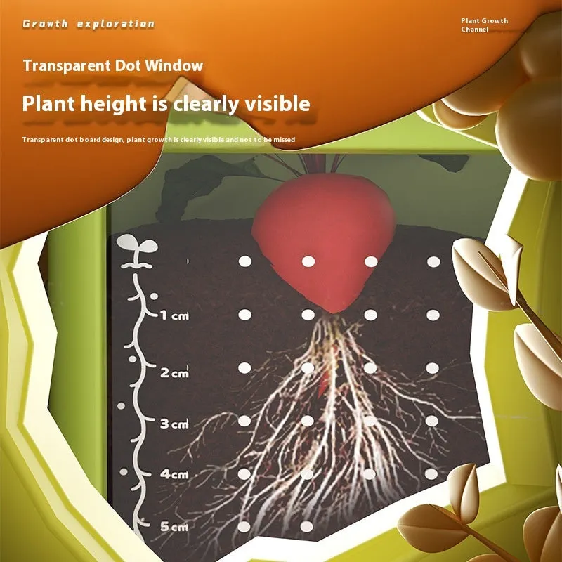 Kindergarten Planting Observation Box Root Clear View Window Children Plant Flower Student Scientific Experiment Gift Toys