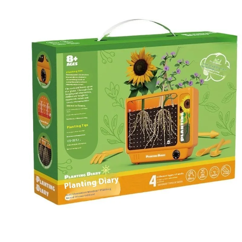 Kindergarten Planting Observation Box Root Clear View Window Children Plant Flower Student Scientific Experiment Gift Toys