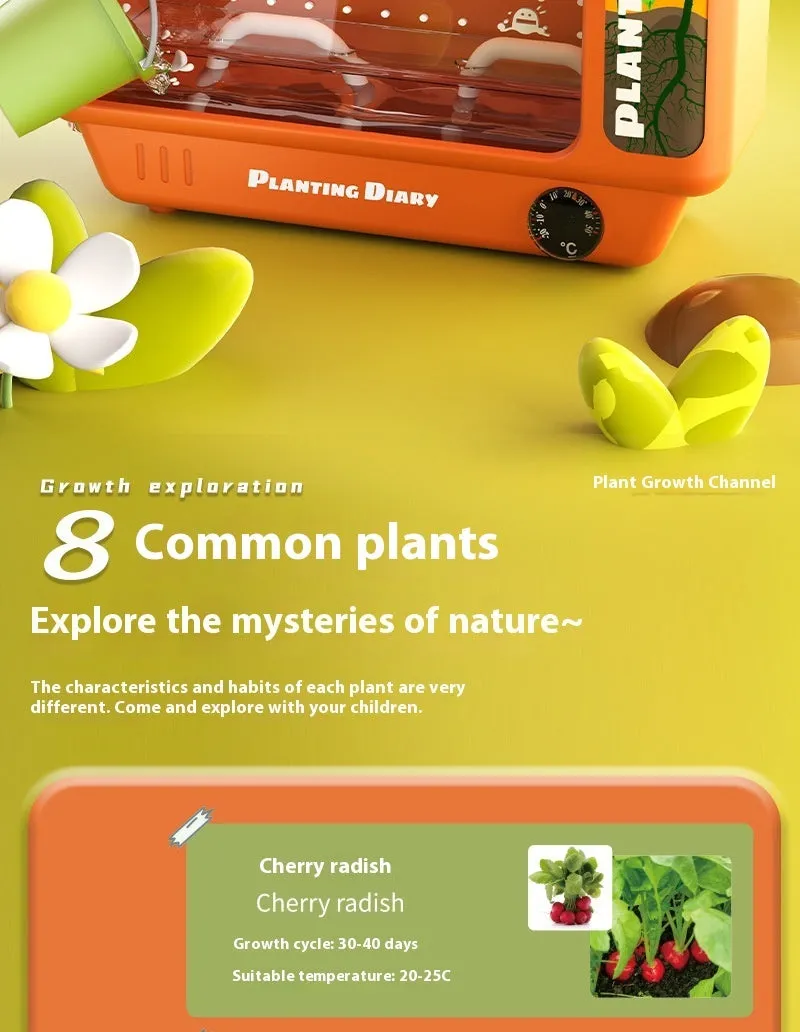 Kindergarten Planting Observation Box Root Clear View Window Children Plant Flower Student Scientific Experiment Gift Toys