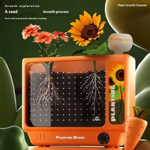 Kindergarten Planting Observation Box Root Clear View Window Children Plant Flower Student Scientific Experiment Gift Toys