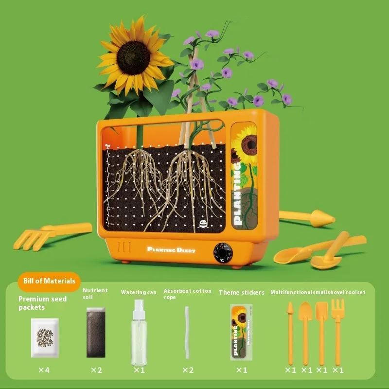 Kindergarten Planting Observation Box Root Clear View Window Children Plant Flower Student Scientific Experiment Gift Toys