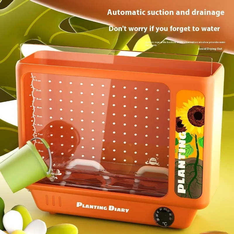 Kindergarten Planting Observation Box Root Clear View Window Children Plant Flower Student Scientific Experiment Gift Toys