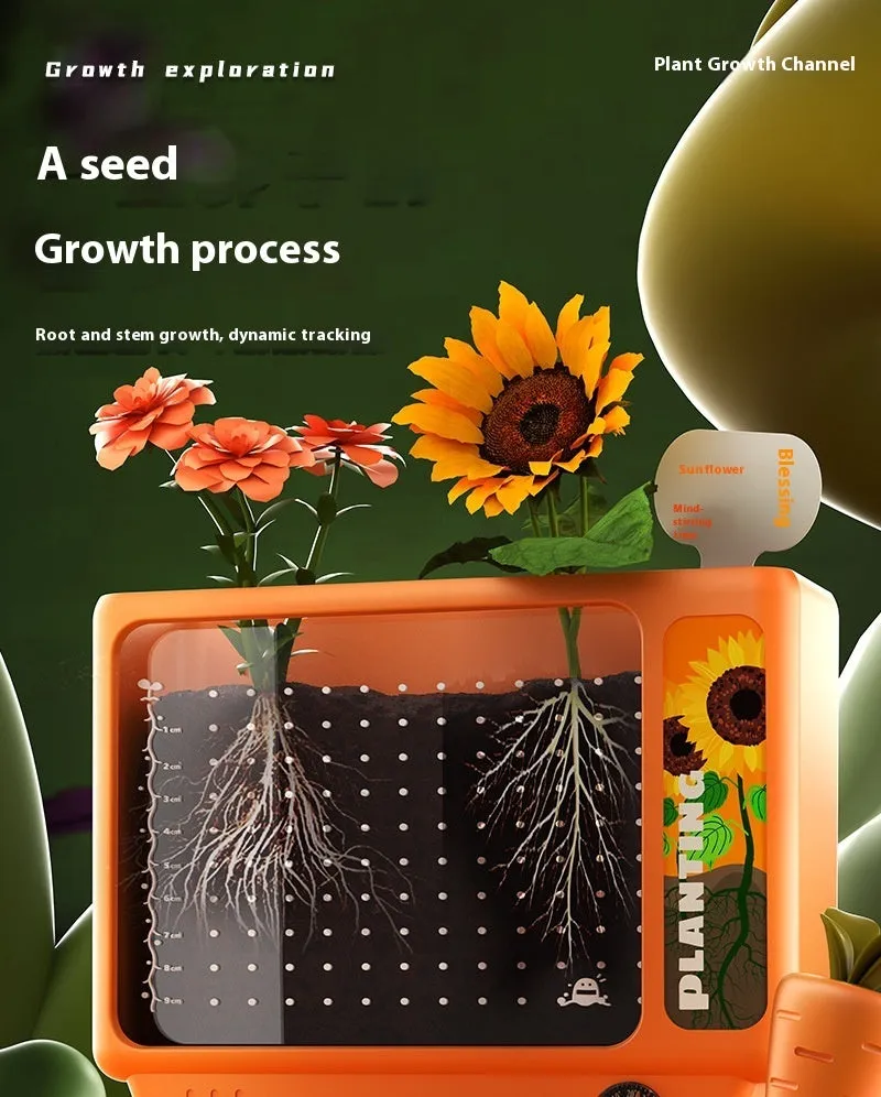 Kindergarten Planting Observation Box Root Clear View Window Children Plant Flower Student Scientific Experiment Gift Toys